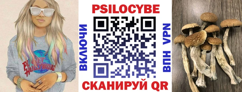 Псилоцибиновые грибы Psilocybe  сколько стоит  Краснотурьинск 