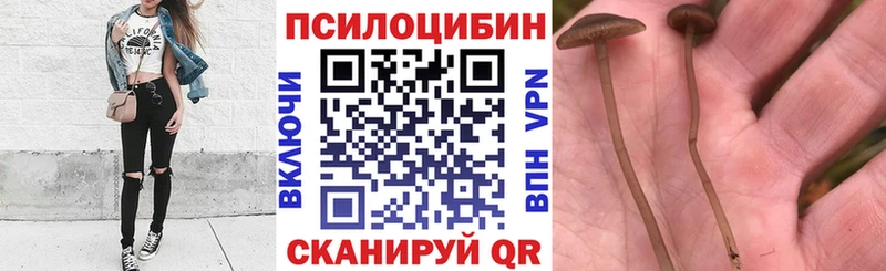 Псилоцибиновые грибы MAGIC MUSHROOMS Краснотурьинск