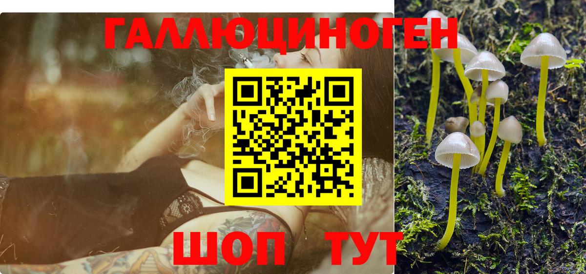 Галлюциногенные грибы MAGIC MUSHROOMS Краснотурьинск