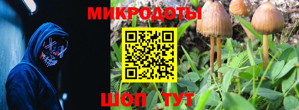 Краснотурьинск  Галлюциногенные грибы прущие грибы  Вход с VPN  Псилоцибиновые грибы прущие грибы 